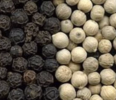 Black Pepper for sale / White Pepper For Sale